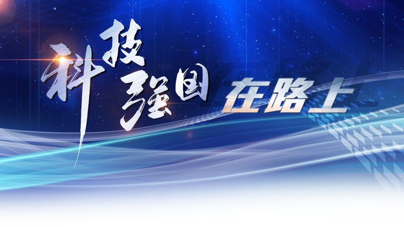 Kong API网关与反向代理：本质区别与适用场景解析
